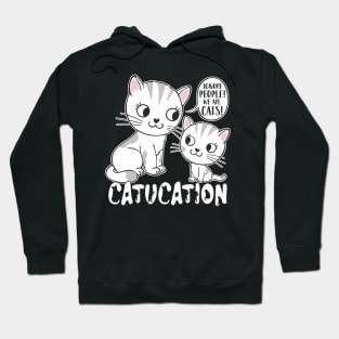 Cat Owner Ignore People Funny Cat Lover Hoodie